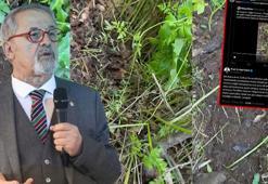 Prof. Dr. Görür: Bingöl’de yer altından gelen ses kayaların kırılmasına işaret etmiyor