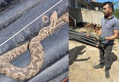Sanayiye getirilen traktördeki su borusundan zehirli engerek yılanı çıktı