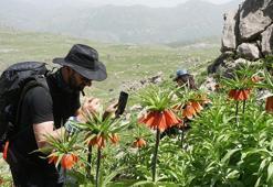 20 günlük ömrü olan çiçeği görmek için Mardin'den gelip, dağda 7 kilometre yürüdüler