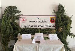 Hatay’da uyuşturucu operasyonlarında 23 gözaltı