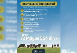 Tarım ve Orman Bakanlığı: Tarımsal destek ödemeleri bugün çiftçilerin hesabına yatırılacak