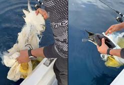 Çuvala takılan yavru deniz kaplumbağasını balıkçılar kurtardı