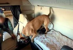 TIR'da 'Carlos' ile aramada 50 bin uyuşturucu hap bulundu