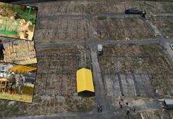 Kurban pazarları kurulmaya başladı; kurbanlıklar 1 Haziran’da İstanbul’da