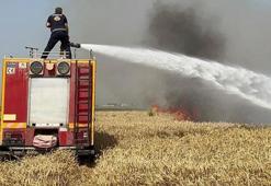 Hatay'da iki ayrı yangında 77 dönüm ekili buğday tarlası zarar gördü