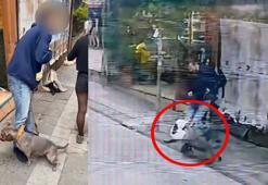 Kadıköy'de Pitbull dehşeti; kediye saldırdığı anlar kamerada