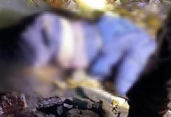 Ot toplamaya gitti, dere kenarında ölü bulundu