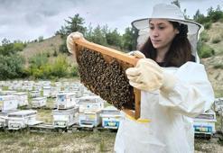 Üniversiteli Nilay, doğal yaşam hayaliyle turizm sektörünü bırakıp arıcılığa başladı