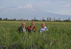 Tuz Gölü Havzası'ndaki çiftçiler, 4'lü karışımla 120 milyon ton su tasarrufu sağlayacak