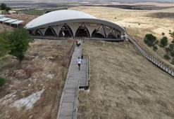 Balıklıgöl ile Göbeklitepe'deki başıboş köpekler toplatıldı