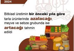 TÜİK: 2024'te tahıl üretiminde azalış, sebze ve meyve üretiminde artış öngörüldü