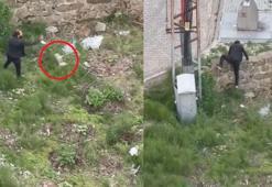 Tekmelediği kediyi öldürüp, fırlattı, 'kendimde değildim' dedi