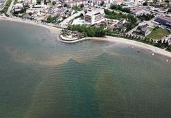 İzmit Körfezi'nde denizin rengi kahverengiye döndü