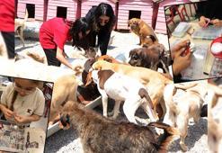 Okulda takı üretip satan Derya öğretmen ve öğrencileri, sokak köpeklerine can oldu
