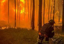 Harkiv’de bombardıman sonucu orman yangını