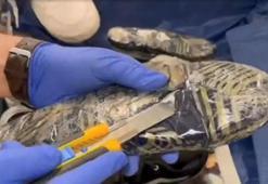 İstanbul Havalimanı'nda uyuşturucuyu spor ayakkabı tabanına gizlemişler