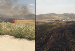 Şırnak'ta 200 dönüm ekili buğday yandı