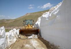 Van'da 3 bin 200 rakımlı yayla yolunda karla mücadele