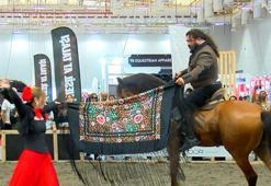 Atlar güzellik yarışmasında boy gösterdi; kalp krizi geçiren at öldü