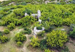Edirne'de tarihi gözetleme kuleleri yok olma tehlikesiyle karşı karşıya