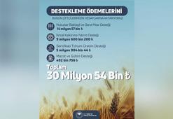 Tarım ve Orman Bakanlığı: Tarımsal destek ödemeleri bugün çiftçilerin hesabına yatırılacak