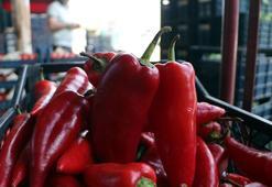Tarlada kilosu 15, halde 20 lira olan kapya biber, markette 80 lira