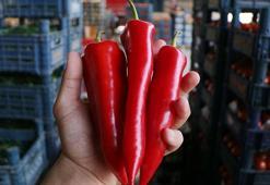 Tarlada kilosu 15, halde 20 lira olan kapya biber, markette 80 lira