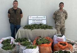 Hakkari soğanlarını İran'a kaçırmak isteyen 3 kişiye 1 milyon 161 bin TL ceza