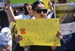 Sivas'ta hayvanseverlerden 'kısırlaştırma' çağrısı