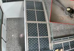 Bahçelievler'de duvarı delip kuyumcudan hırsızlık yapan şüpheliler yakalandı