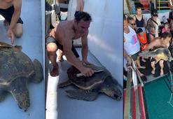 Misinaya dolanan deniz kaplumbağası kurtarıldı