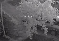 Silahlı saldırgan üzerine yapışan pisi pisi otları sayesinde yakalandı