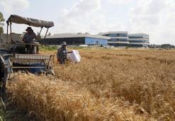 Antalya'dan Orta Doğu pazarına tescilli buğday ihracatı