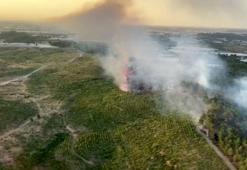 Diplomatik İlişkilerin 100.Yılı: Çek Türk İş Birliği Parkı Prag’da açıldı