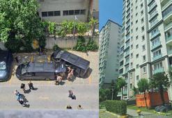 Başakşehir'de emekli polis memuru, polis köpeğini vurup camdan aşağıya attı