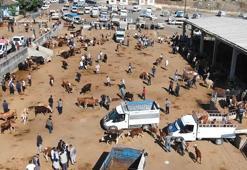 Diyarbakır'da polisten kurban satıcılarına Türkçe ve Kürtçe sahte para uyarısı