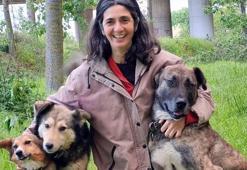 İspanyol akademisyenin bir köpeği zehirlendi, diğeri aynı gece kayboldu