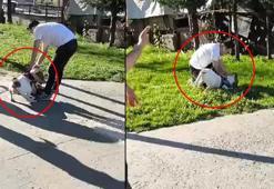 Esenler'de ağızlıksız gezdirilen pitbull kedilere saldırdı