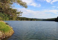 Edirne'de ormanlara girişler 15 Ekim'e kadar yasaklandı