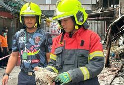 Tayland’da evcil hayvan pazarında yangın: Binlerce hayvan telef oldu