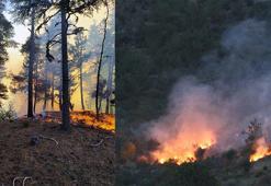 Adana'da 2 günde 10 orman yangını çıktı, profesör uyardı