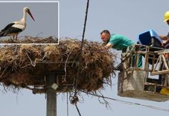 Yaren leylek ile eşi Nazlı, tedavisi tamamlanan yavrularına 10 gün sonra kavuştu