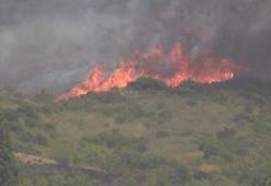 Tuzla Piyade Okulu'nda çalılık alanda çıkan yangın söndürüldü