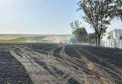 Tekirdağ'da 20 dönüm ekili buğday, yangında zarar gördü