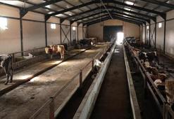 Erzurum'da 'kurbanlık oteli'