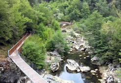 Bakanlık: DKMP bünyesindeki milli parklar bayram ziyaretçilerine hazır