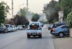 Küçükçekmece’de sivrisineklere karşı ilaçlama çalışmaları hızlandırıldı