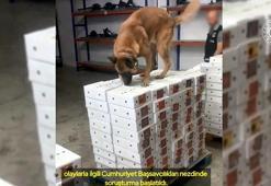 Gümrük kapılarında 357 kilo uyuşturucu ele geçirildi