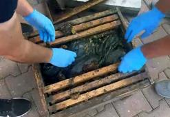 ‘Kraliçe arı taşıyoruz’ dediği kovanlardan 53 kilo metamfetamin çıktı