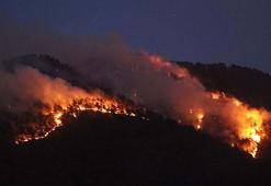 Denizli'deki orman yangını 2'nci günde kontrol altına alındı